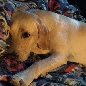 Meet your Posher, Kim